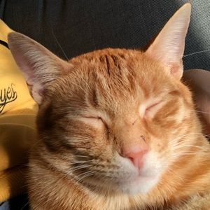 Meet your Posher, Jody